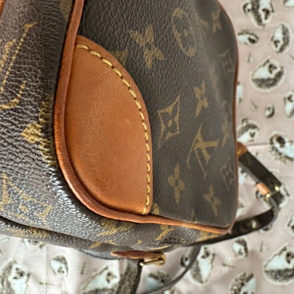 Louis Vuitton Brown Amazone Monogram Crossbody Bag - Picture 8 of 16